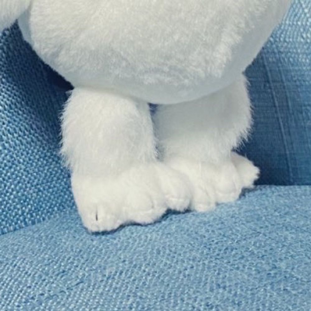 ゆあがり