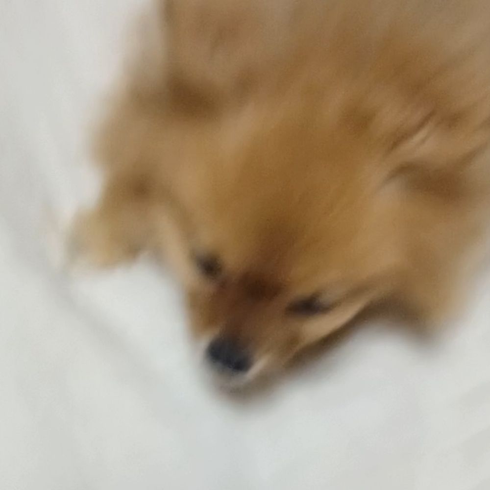 피스