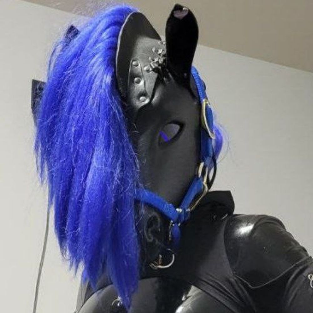 -SPARX-