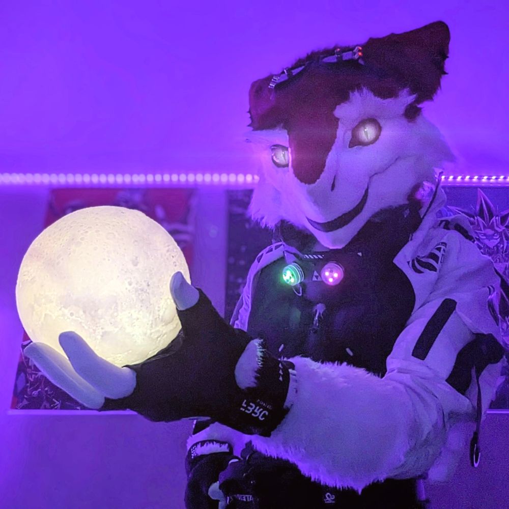 M I M I C 🌕