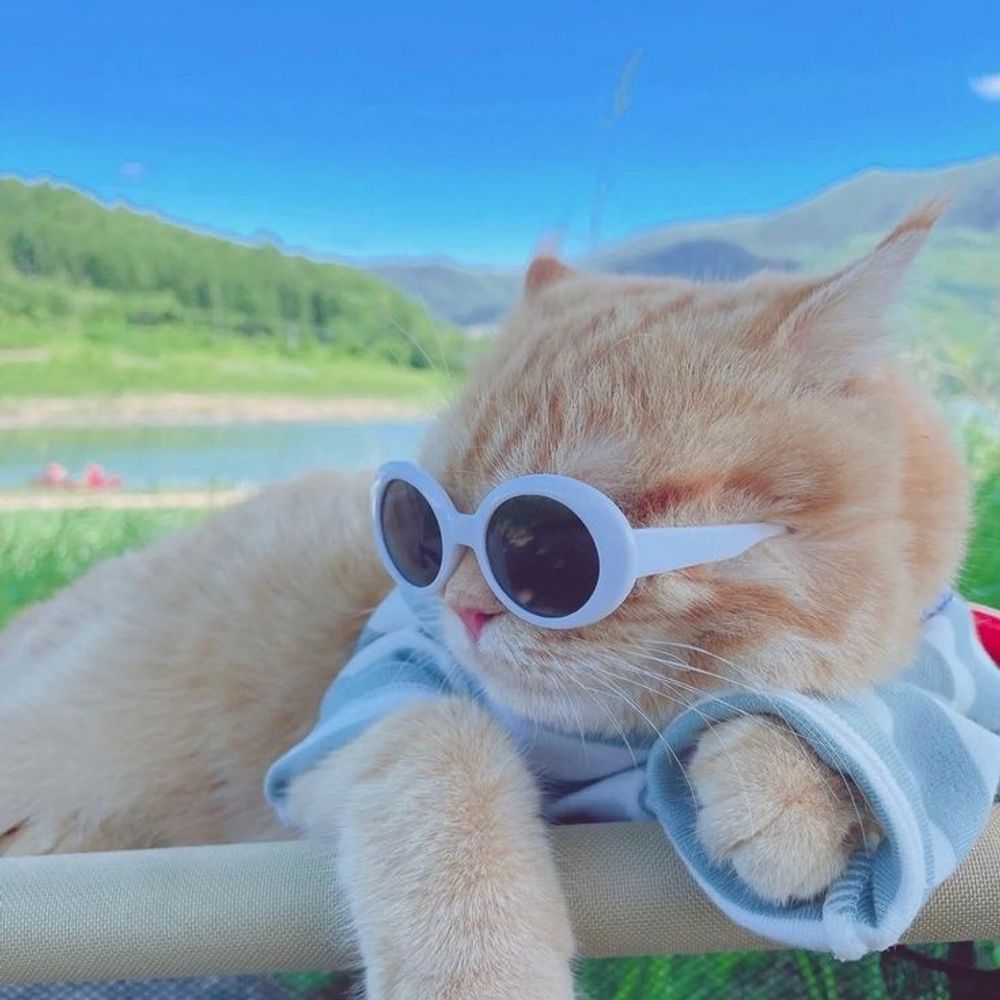 🩵⚘ FluffyFl0_ ☁️🪽