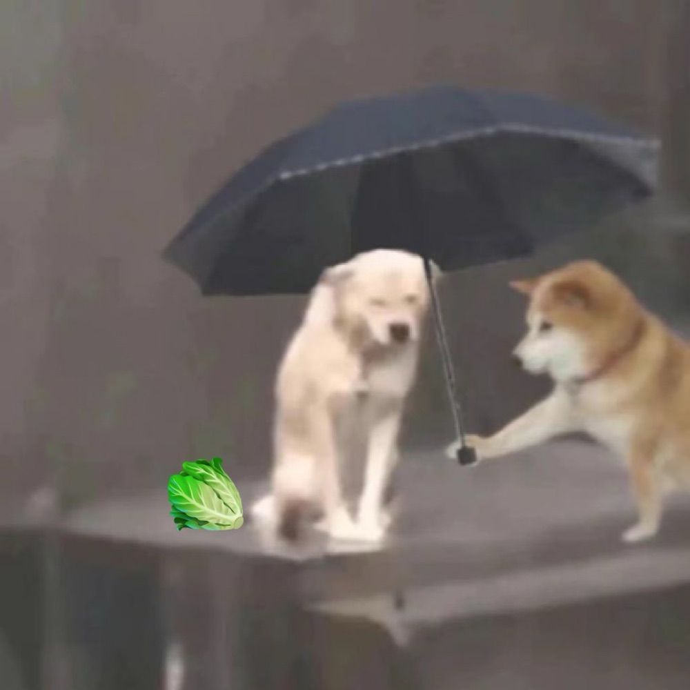 狗기ん