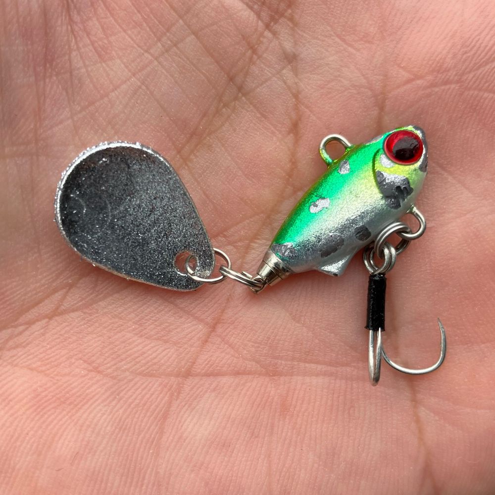 リュウ⚽️🎣🦐🧀