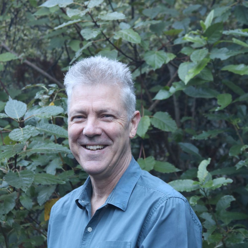 Steve Taylor AngelWings Ltd