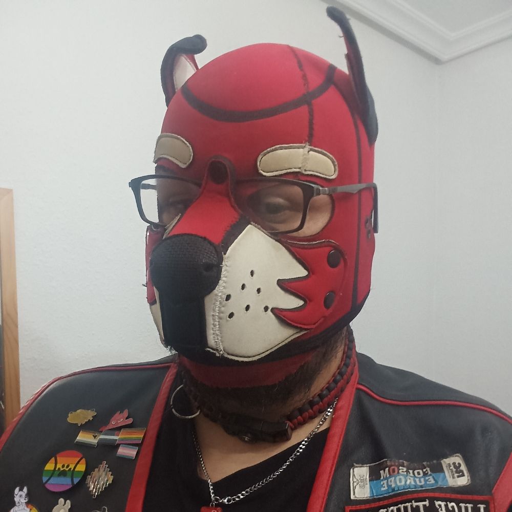 Luge TheDog