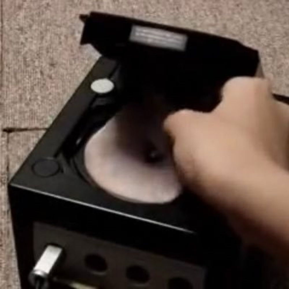 ハムの木