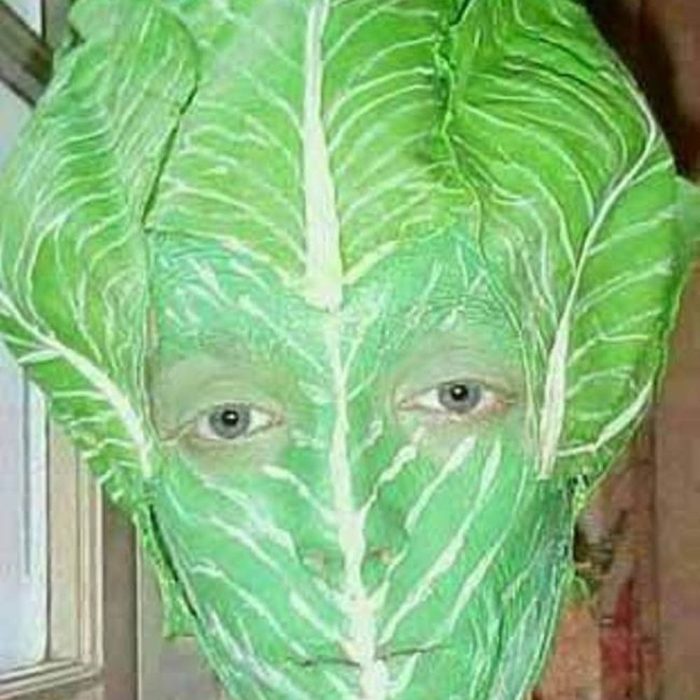 Lettuce Jones's avatar