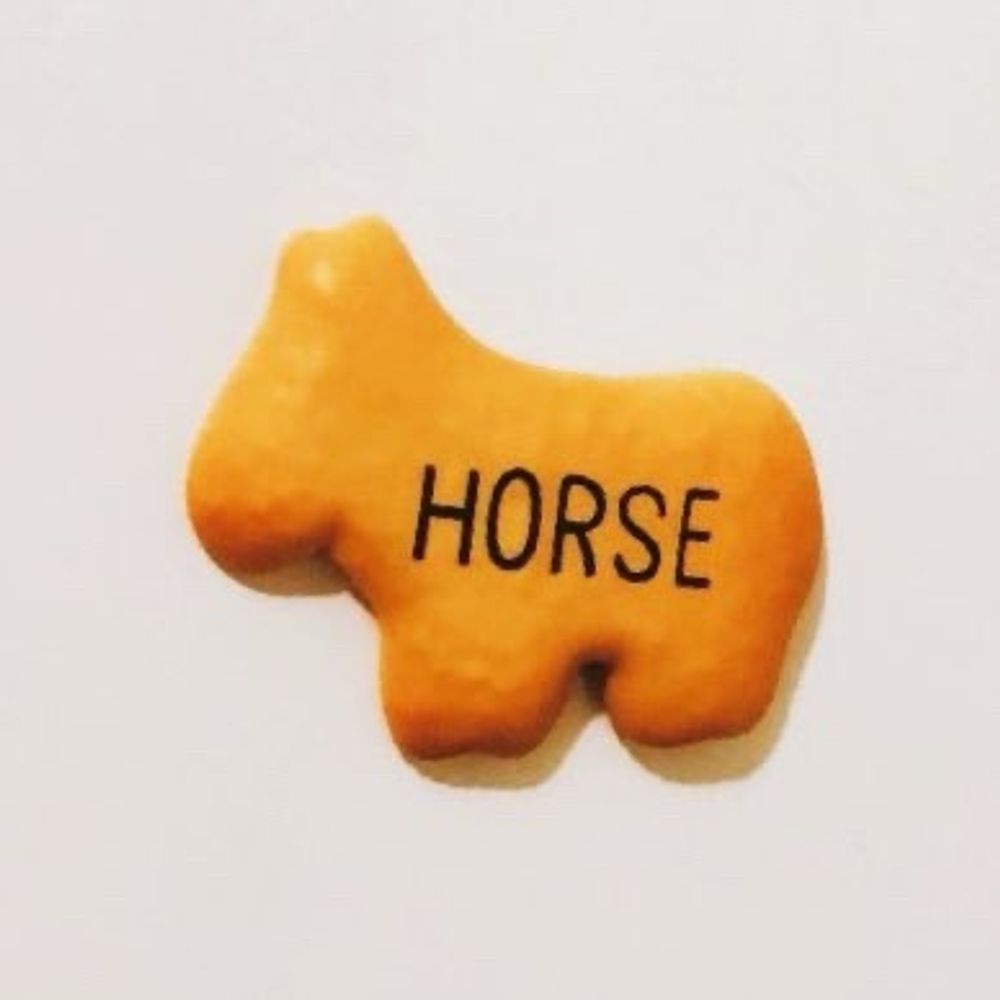 🥕🐎