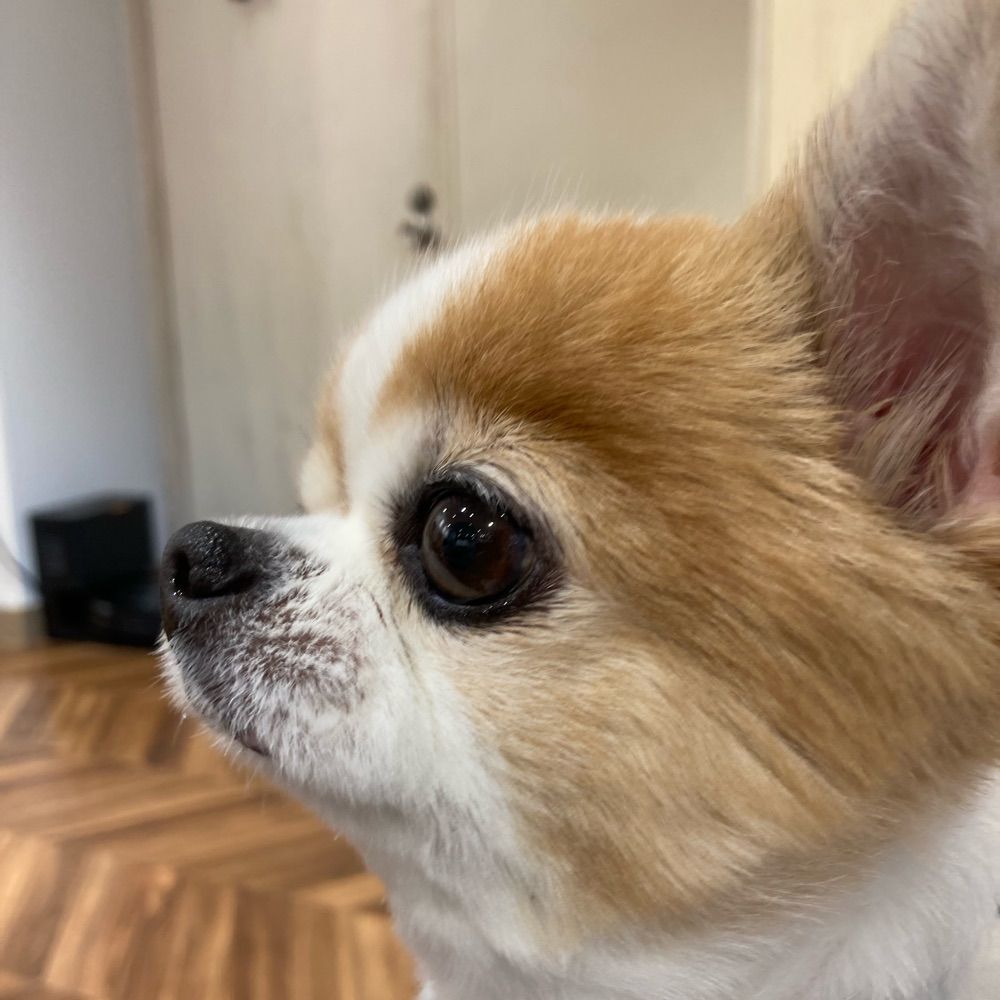 窪木竜也