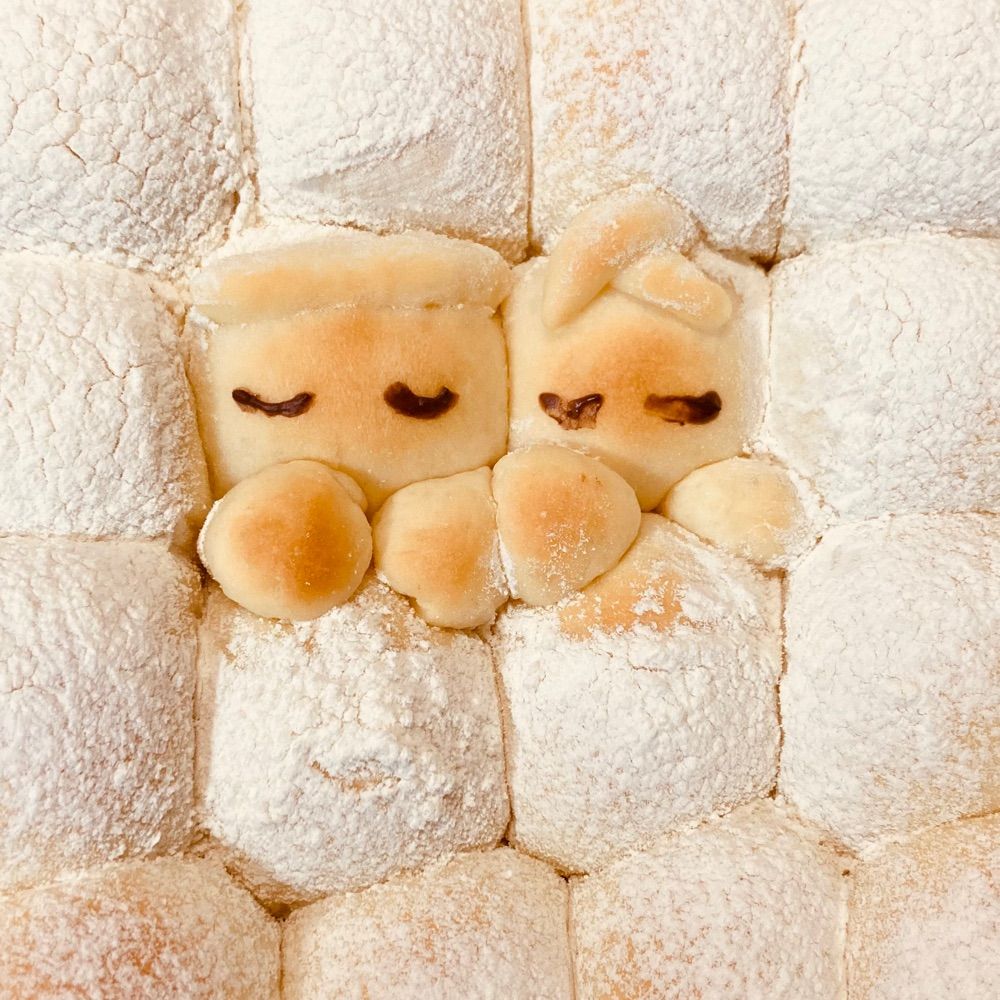 しい子🍡