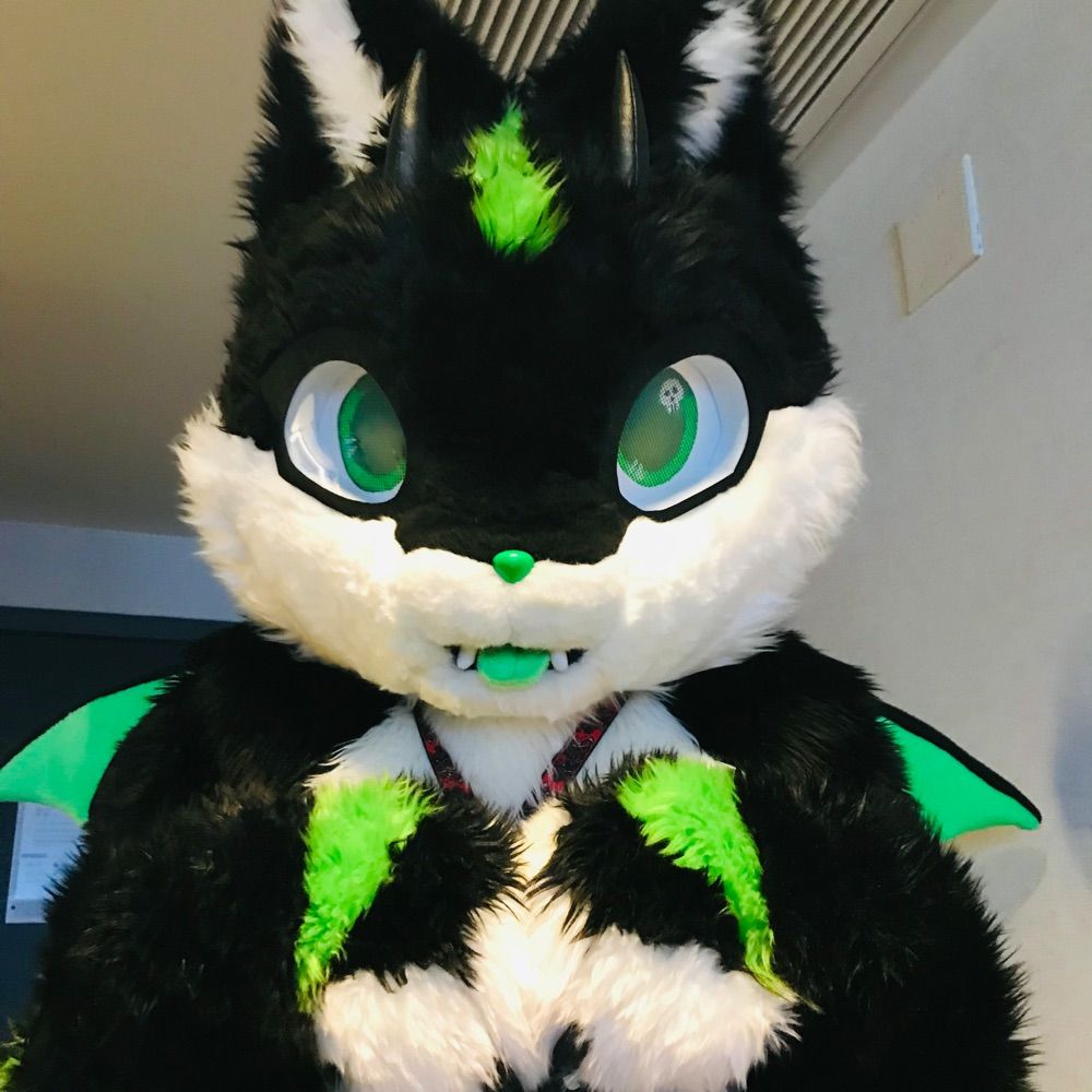 Zaf the Cat🔜ACFI