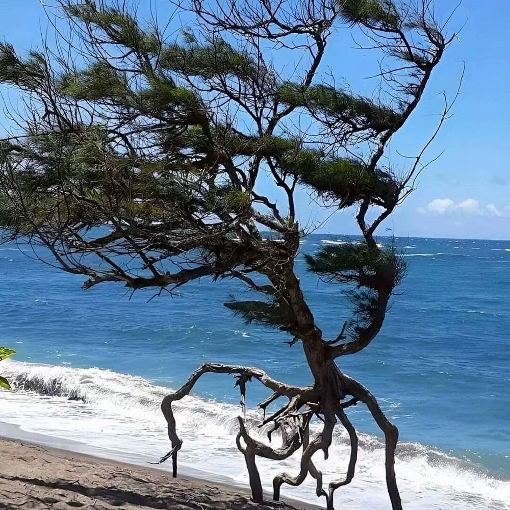 販賣焦慮與苦痛