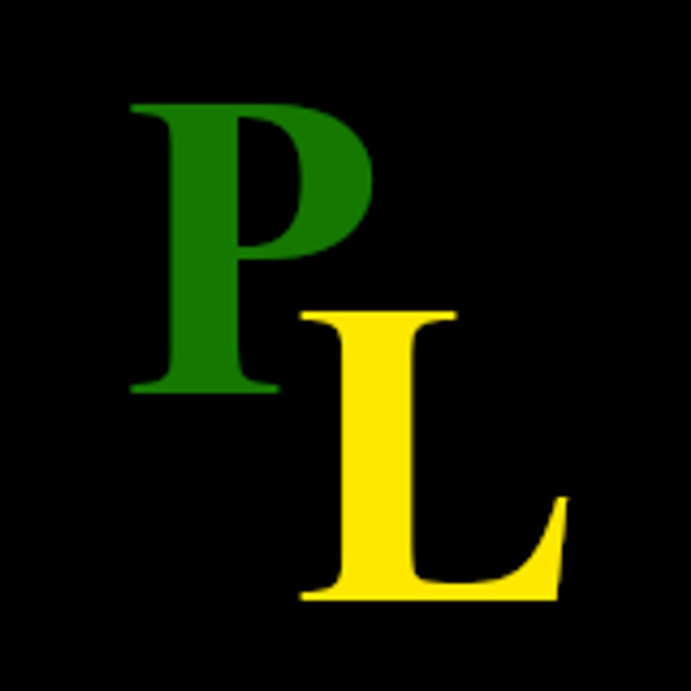 Progressive Libertarianism