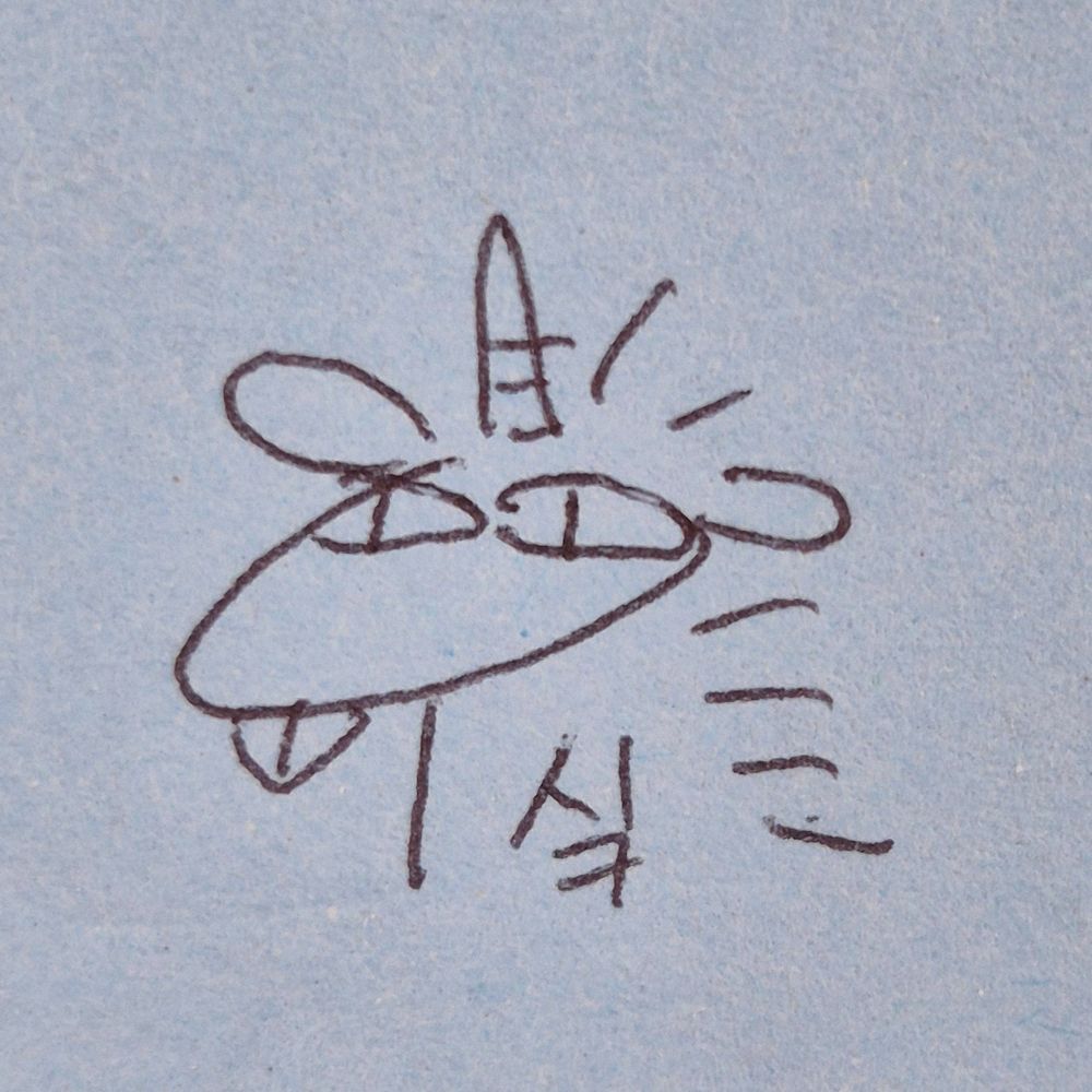 싴