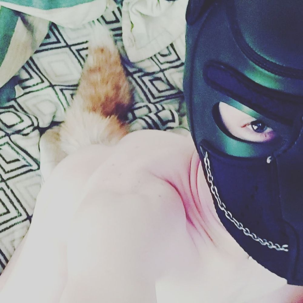 PuppyToy