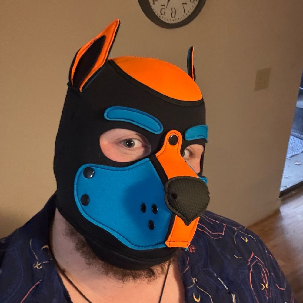 Pup Apollo - ✨At Night✨