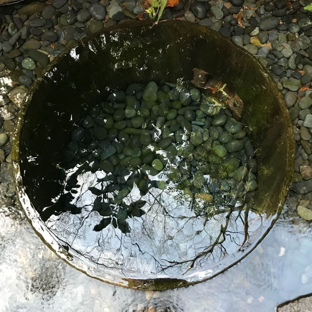 たかD凸凹(凹主)