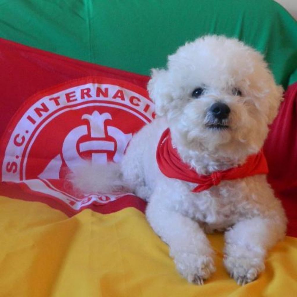 Je👊🇦🇹🧉🚩🚩🚩