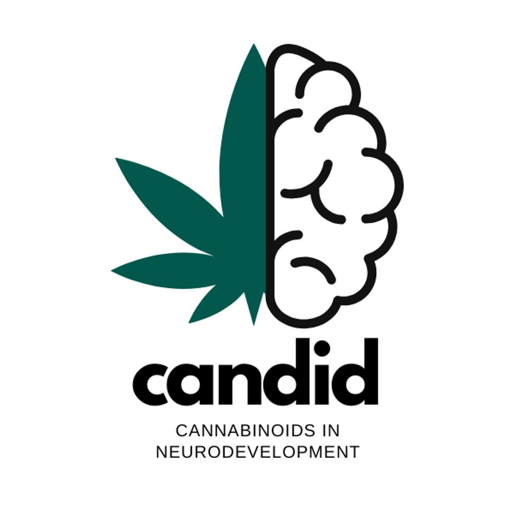 WSU Cannabinoids in Neurodevelopment (CANDID)