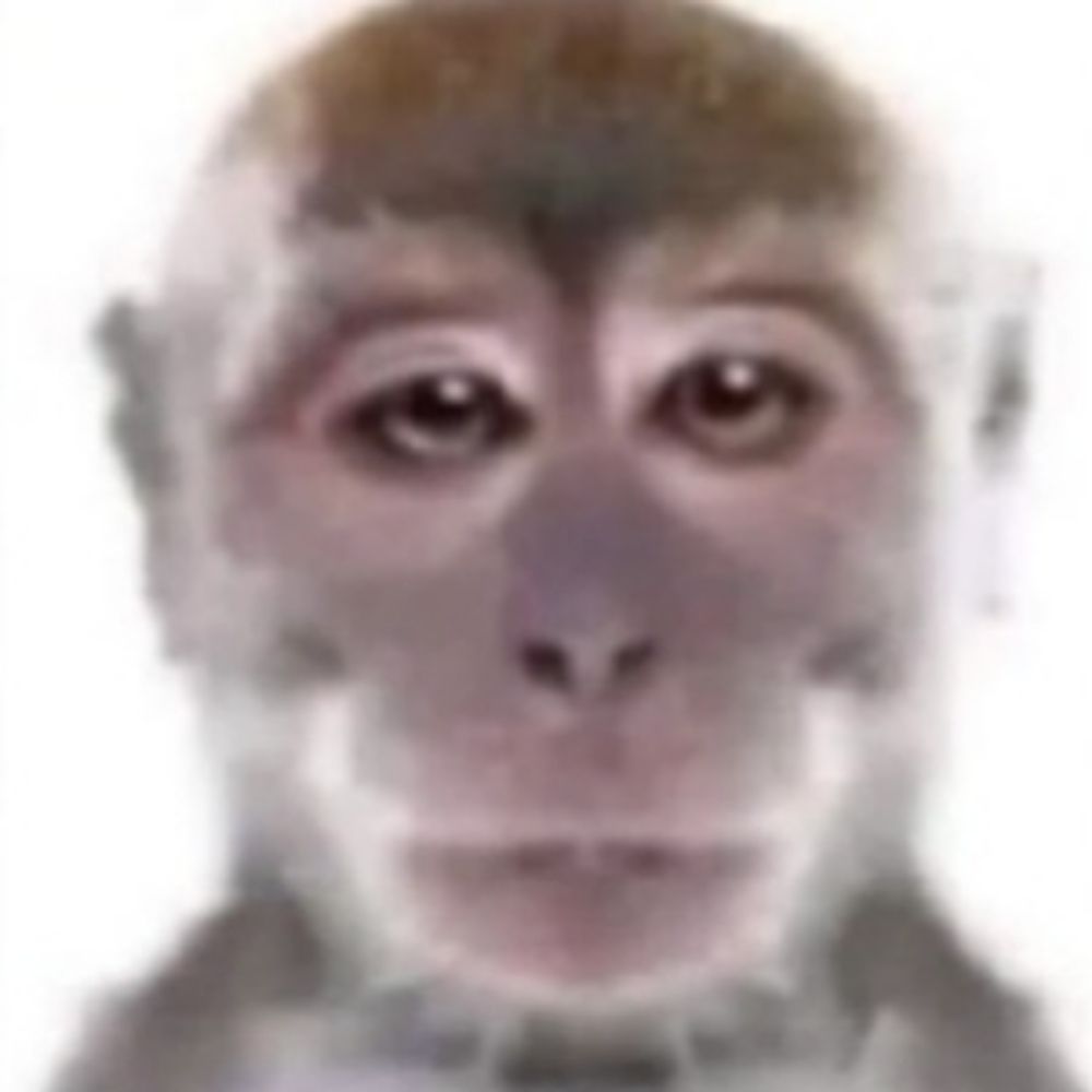luis