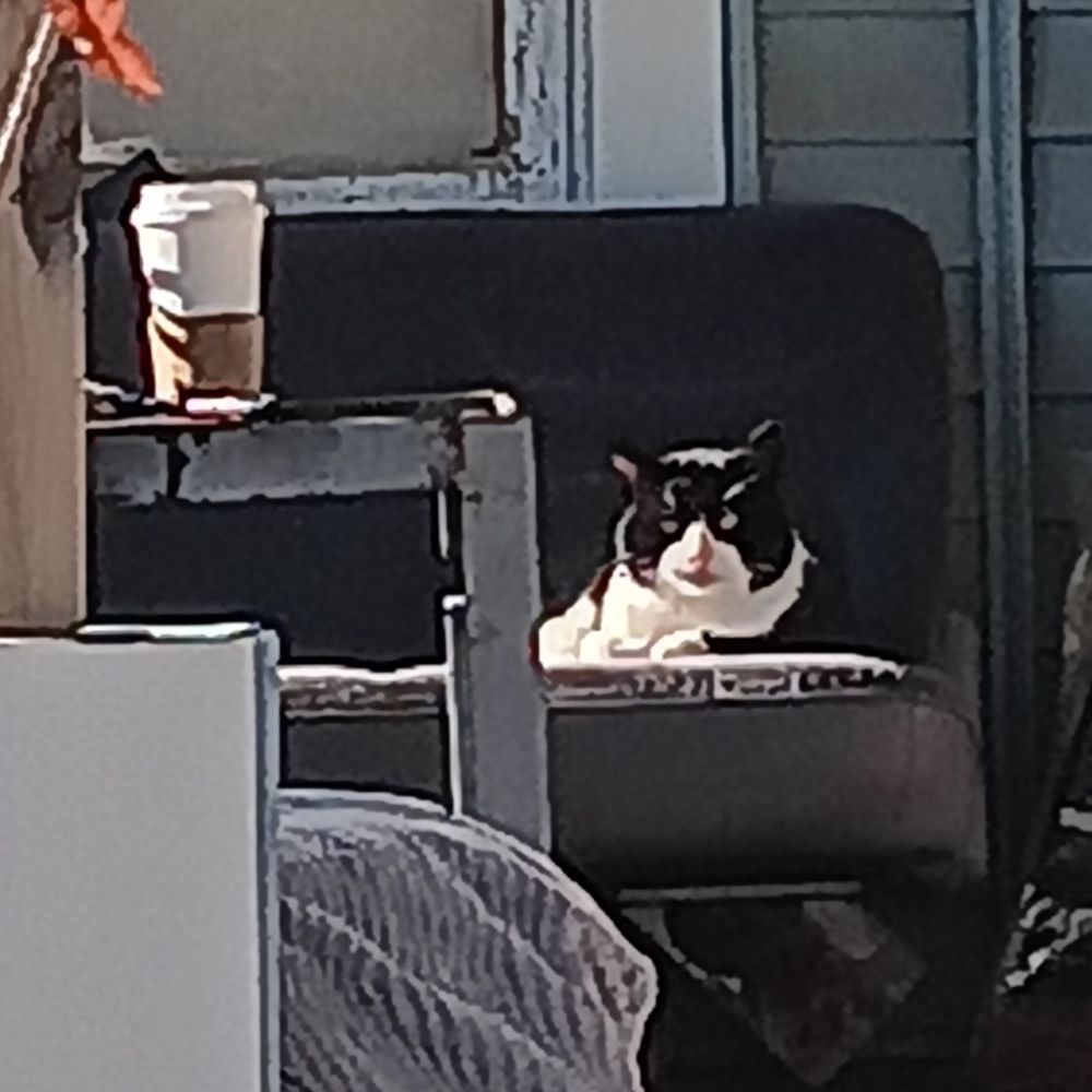 Sam