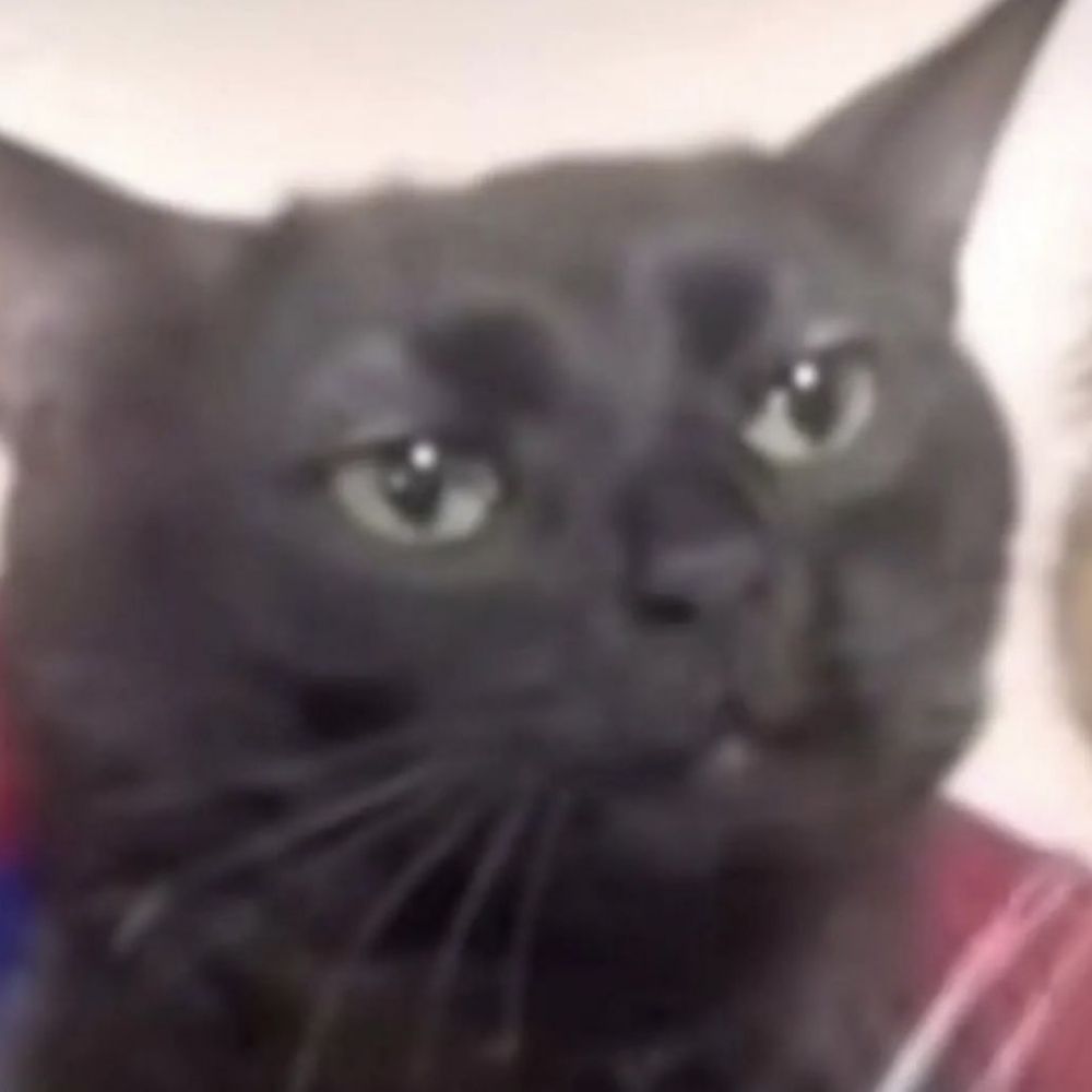 Katto