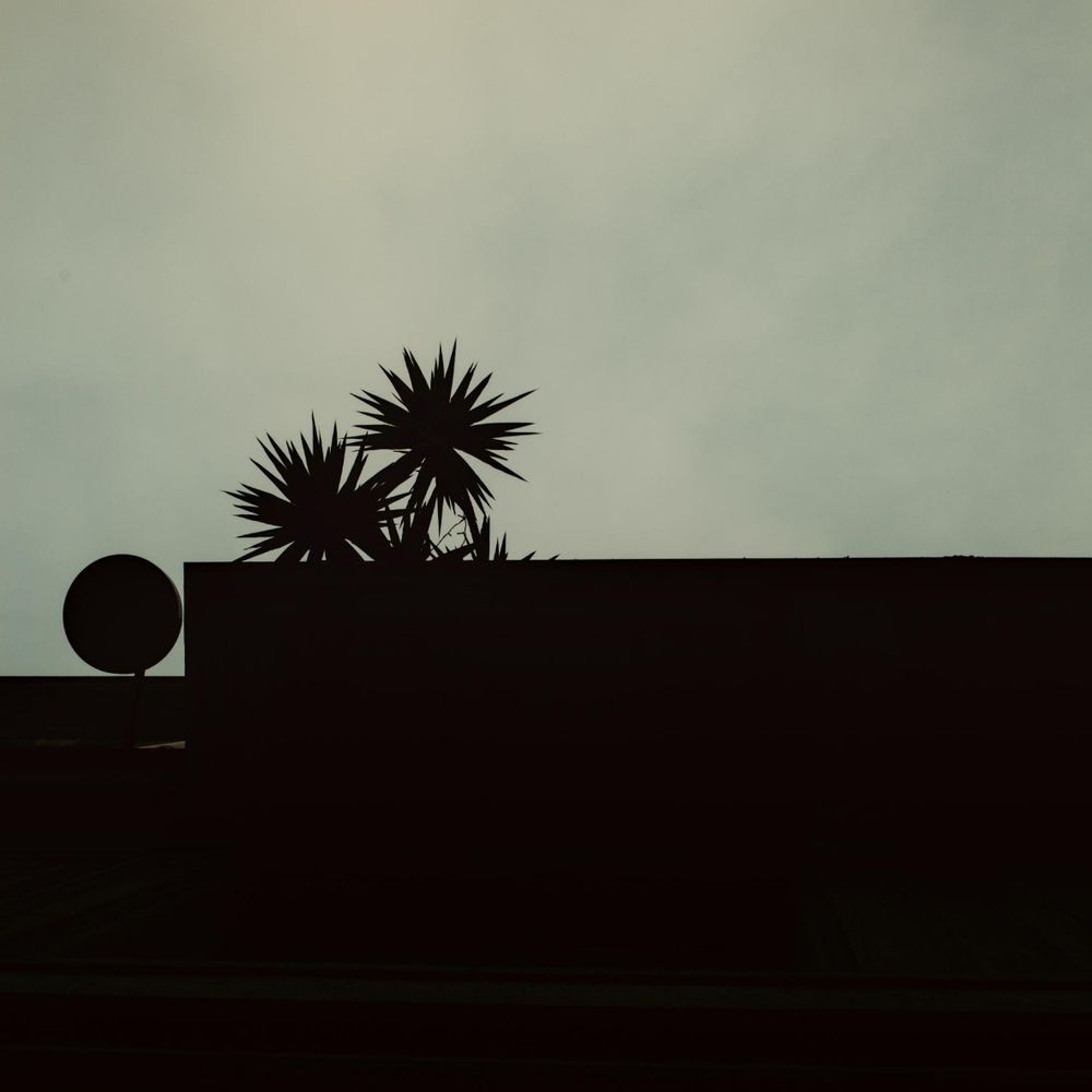 Low Profile Photography