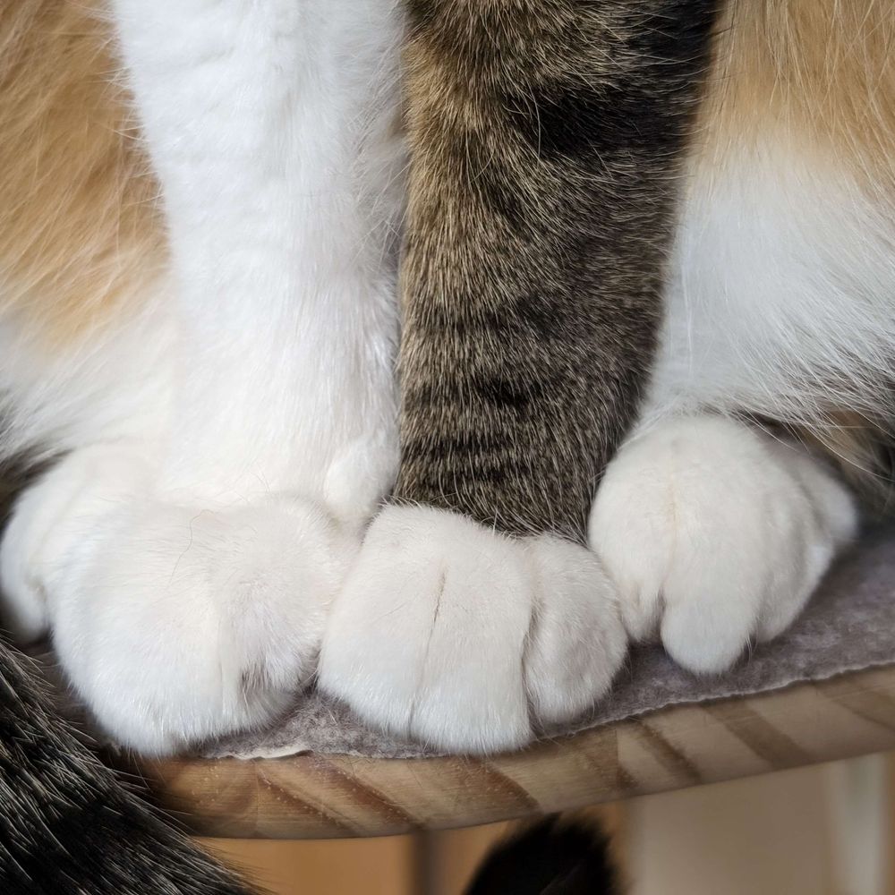 ∠あき