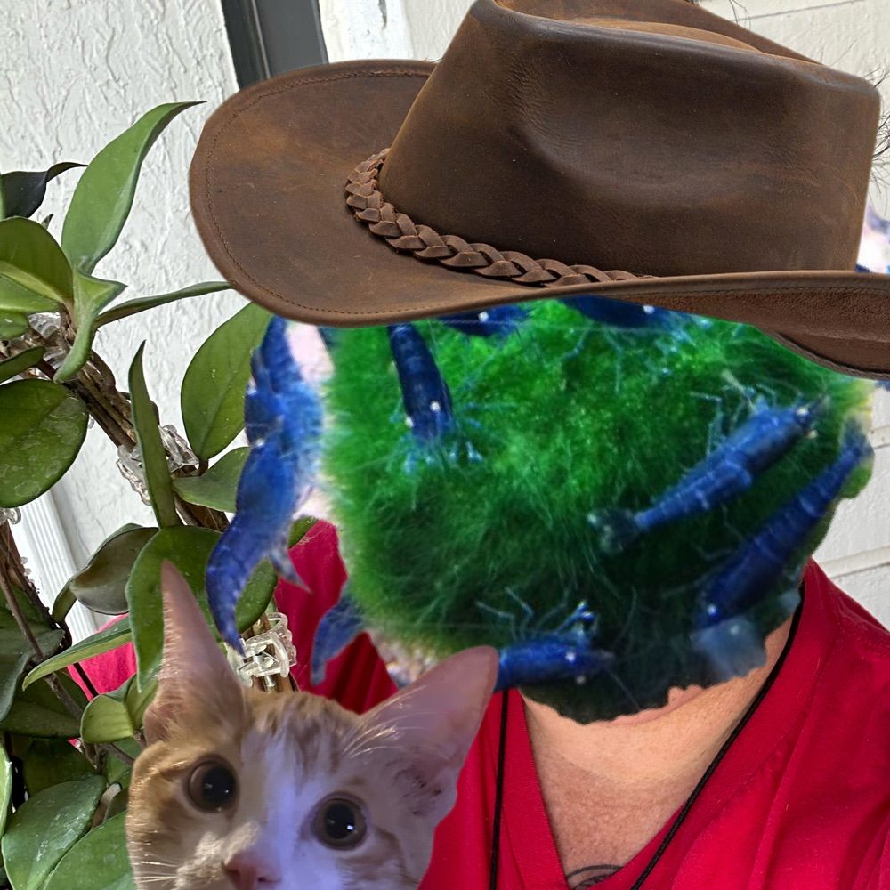 Johnny Fishsticks