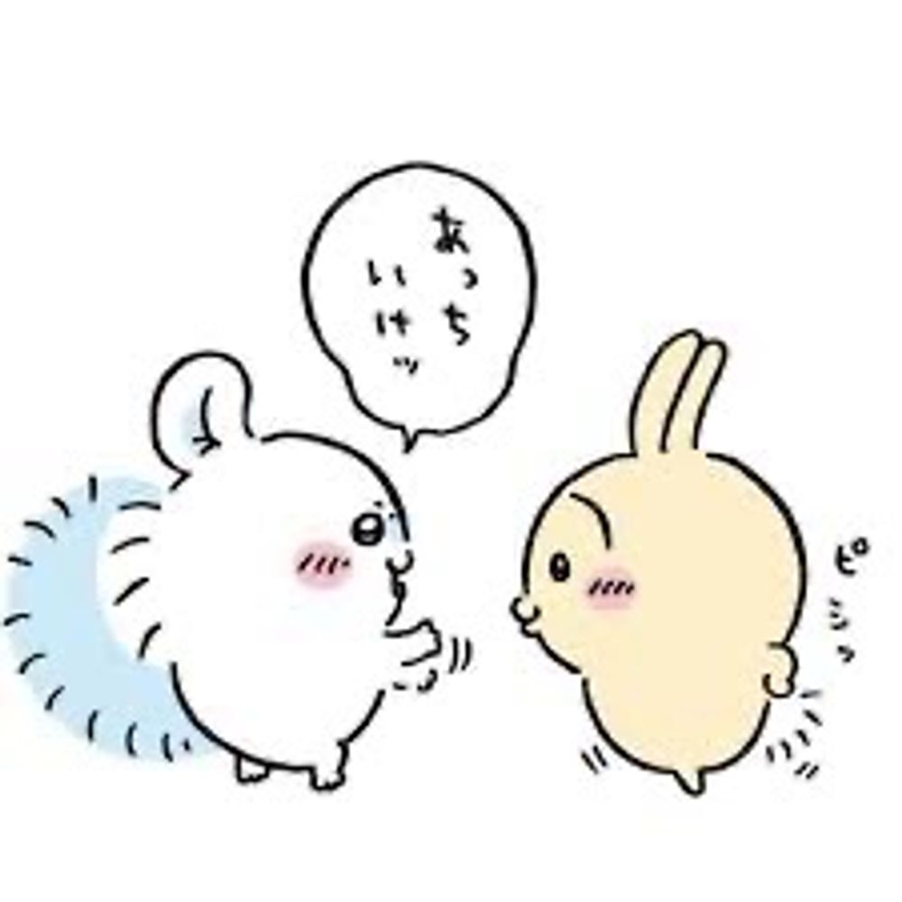 キャッさんです👀