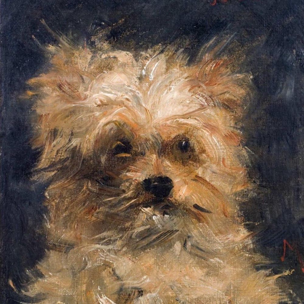 Frank Pavich