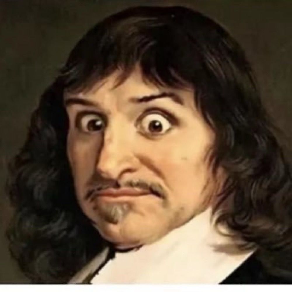 Y