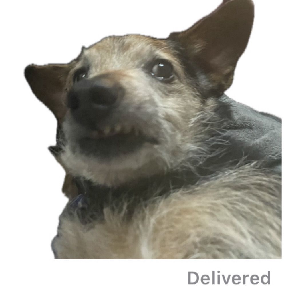 Jennyfoo