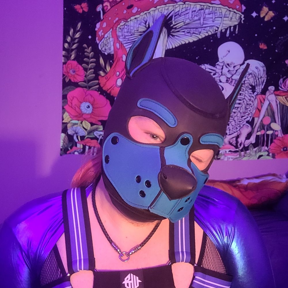Pup_Plag