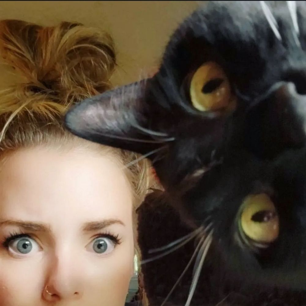 ¿ǝɐɹᴉsǝp