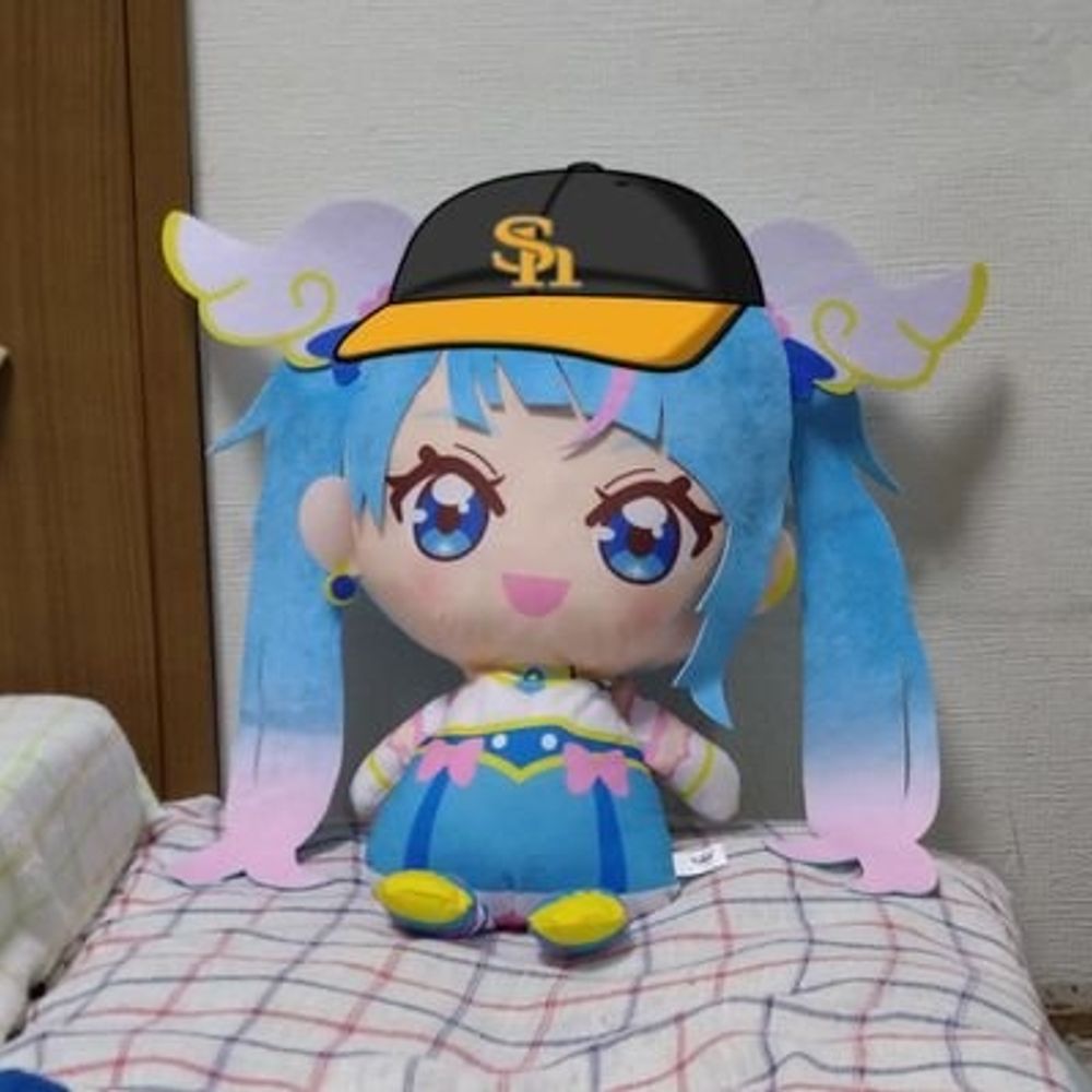 ソラ鷹