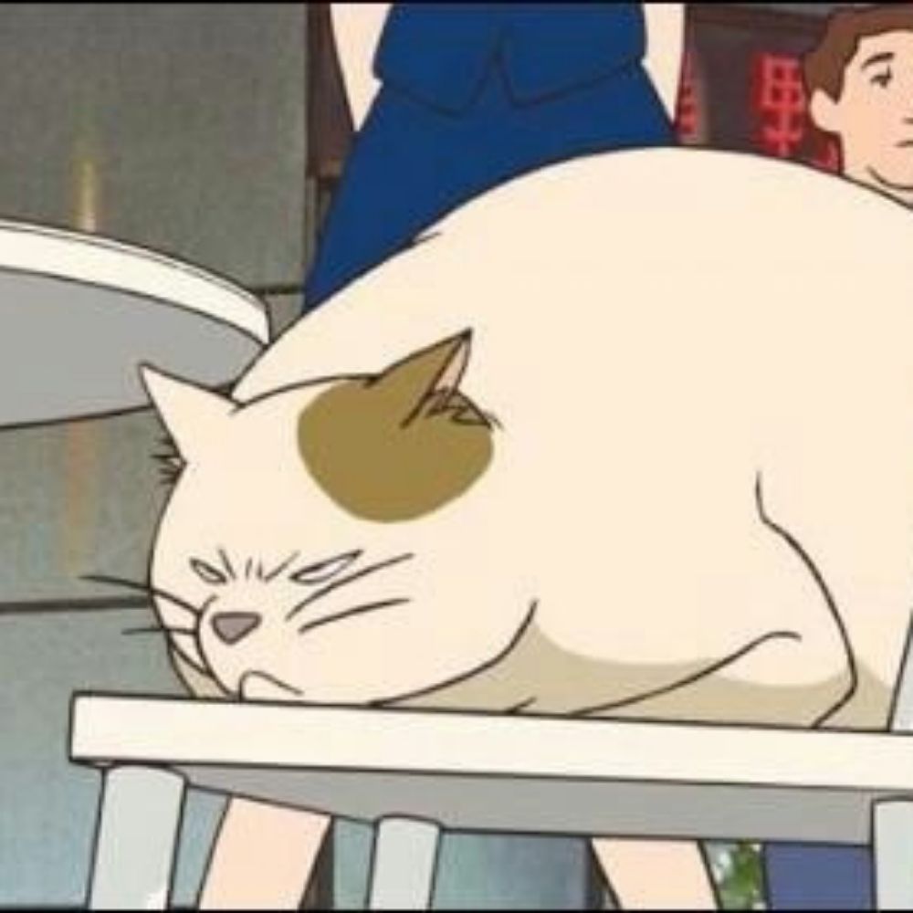 Edjinne Sieste