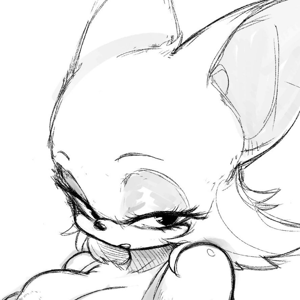 Tims Sketch Vault
