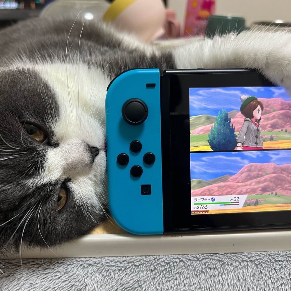 しょーきの