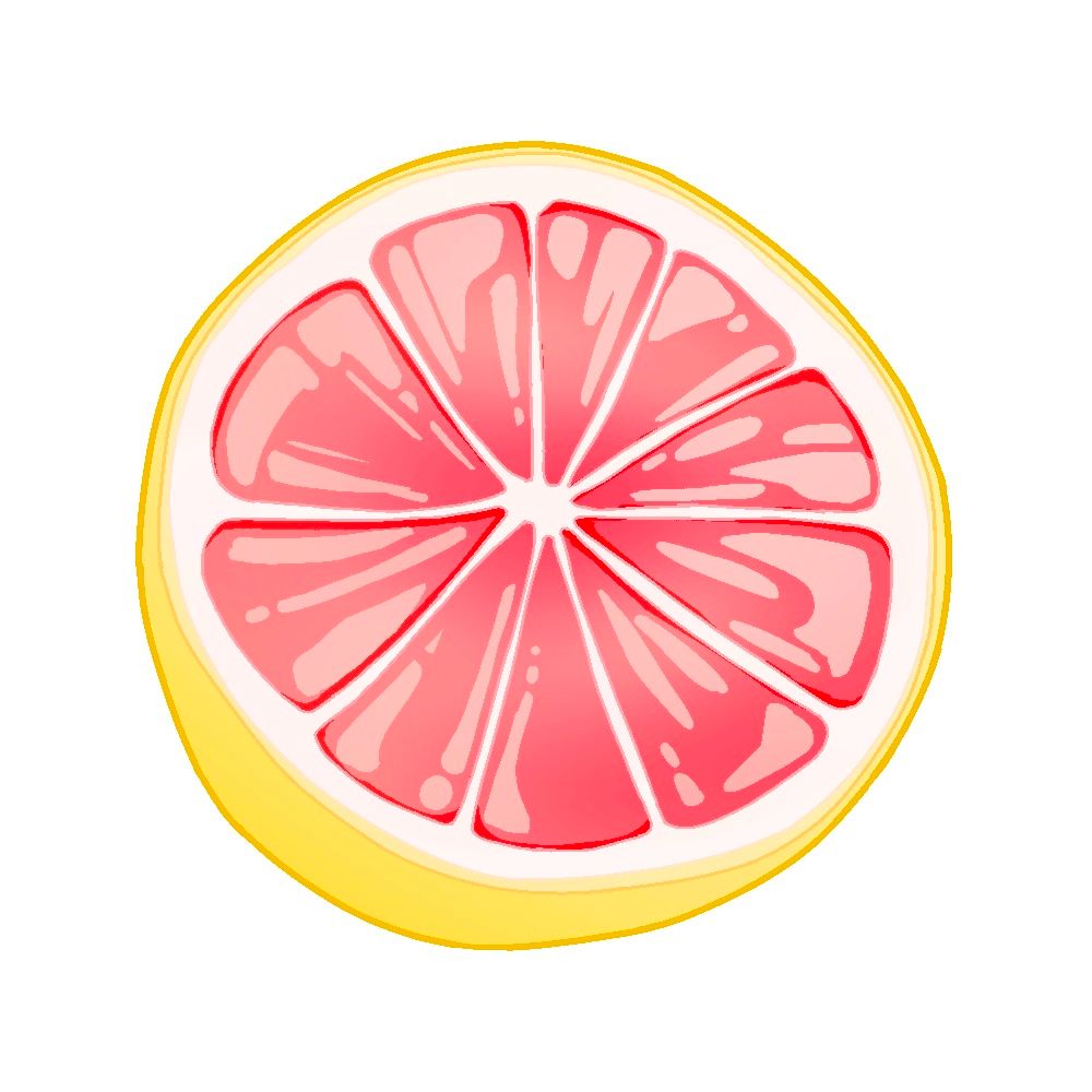 そんちょう