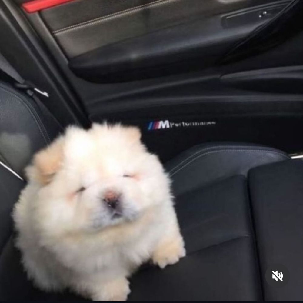 Sol 