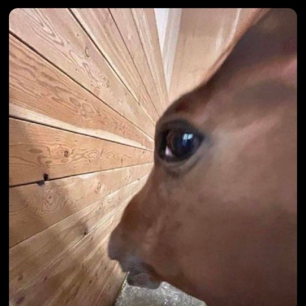 GuDoginn