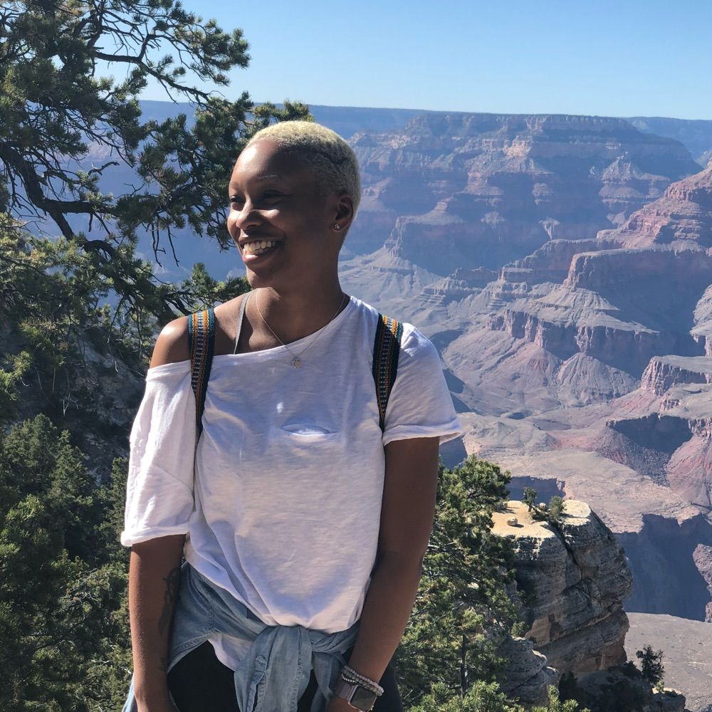 Travel N Shit Podcast