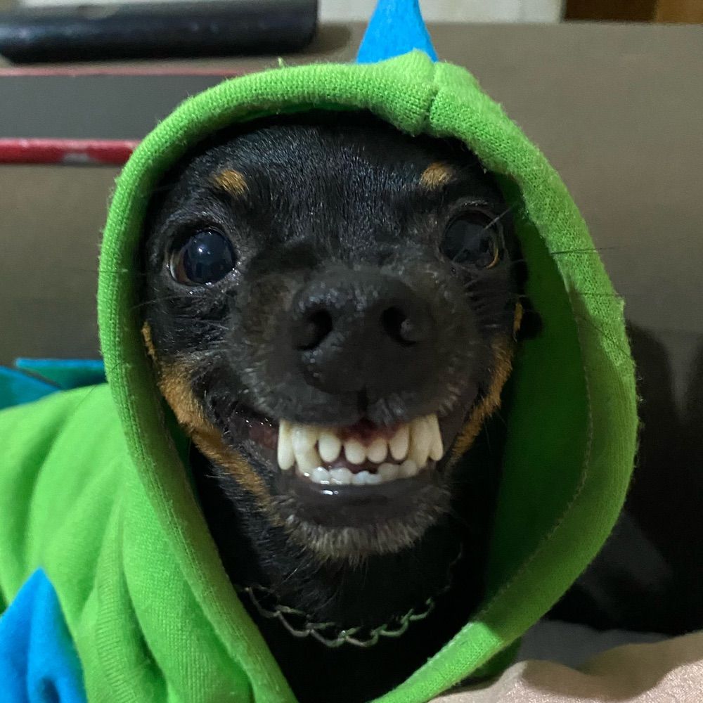Sobrevivendo