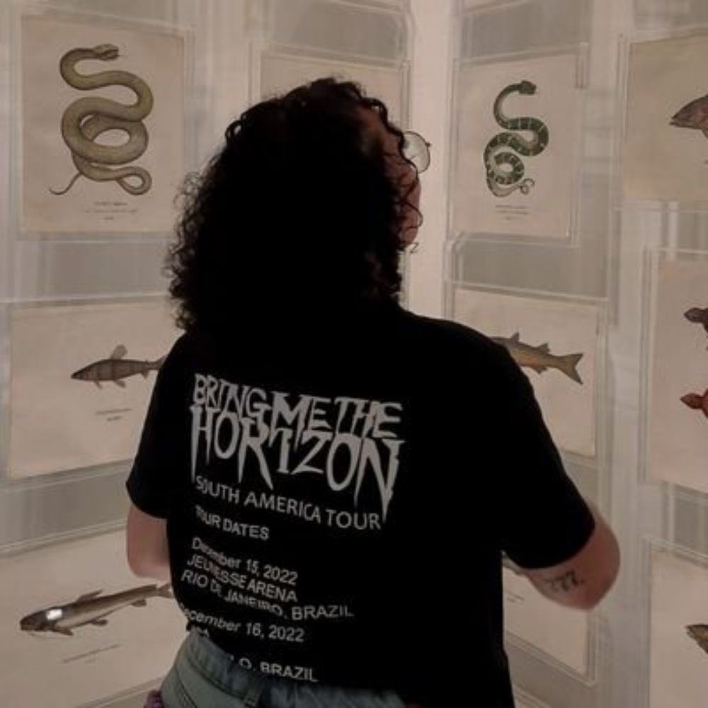 𝐋 VAI VER O BMTH