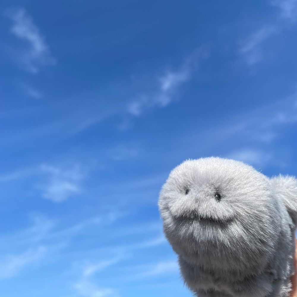 マカロニ