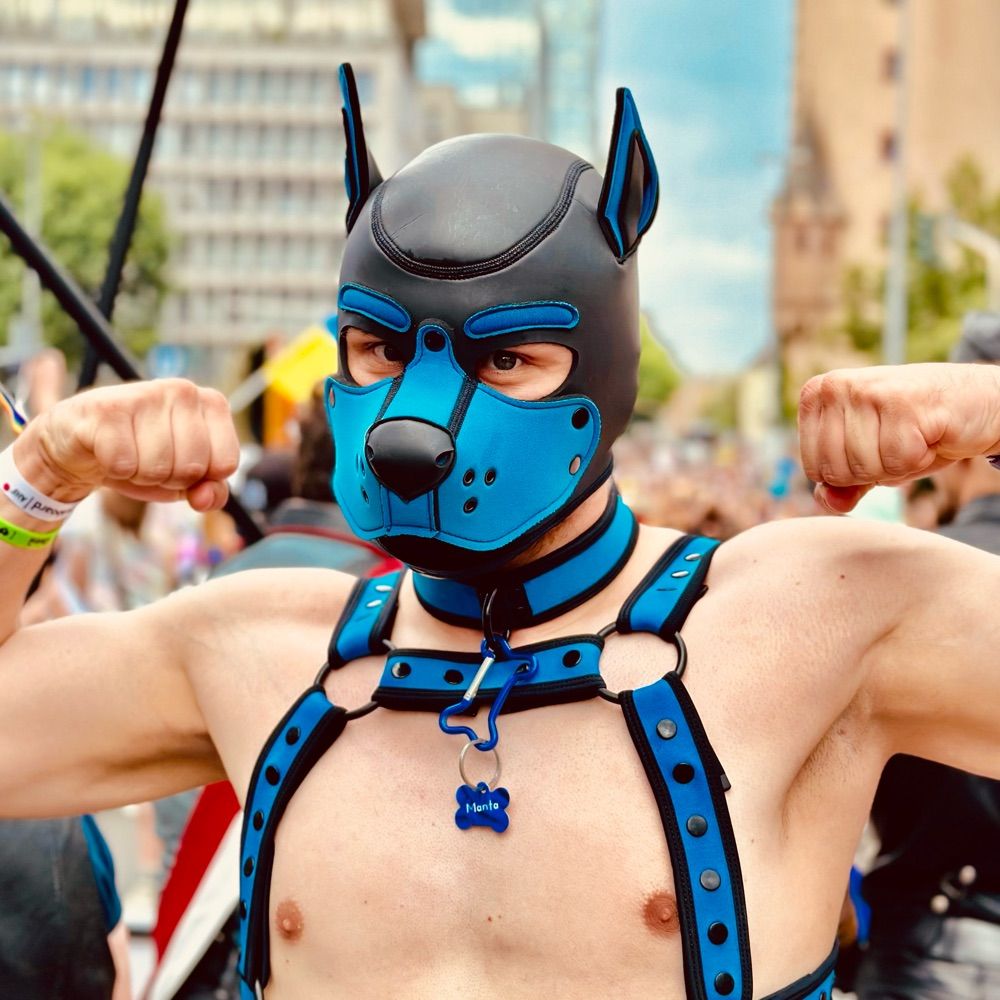 Pup Manta