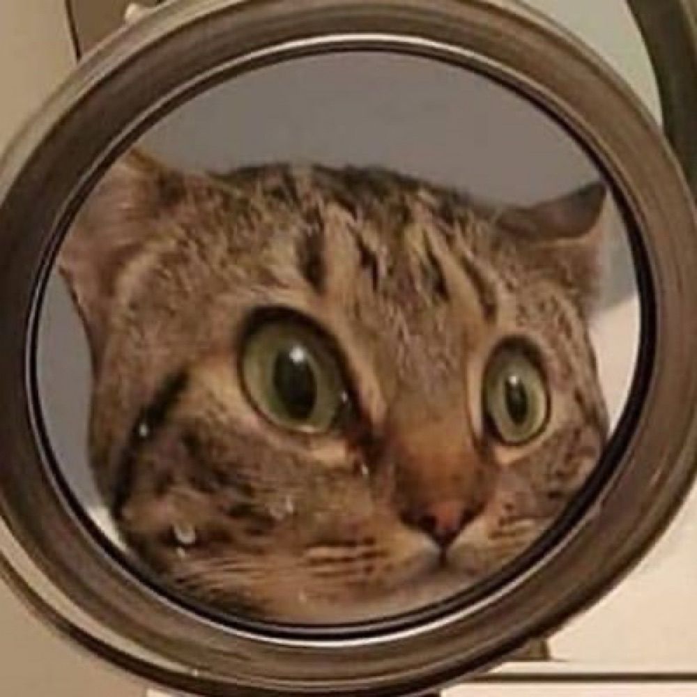 Transailorette