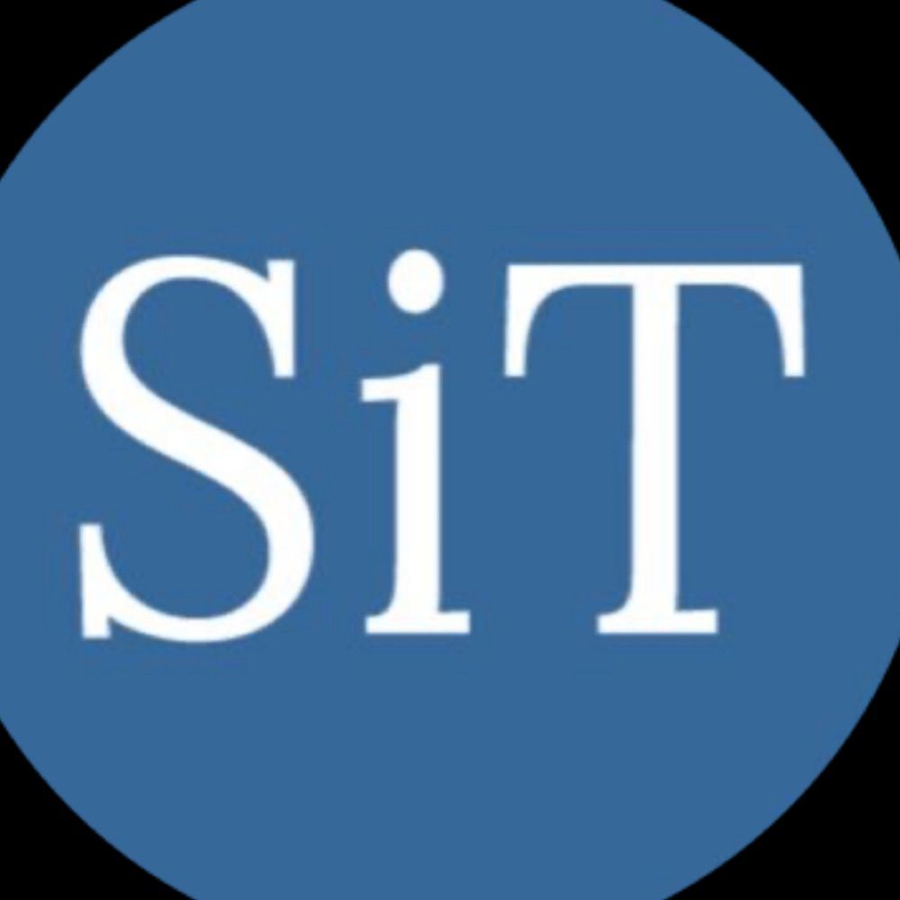 Syria in Transition
