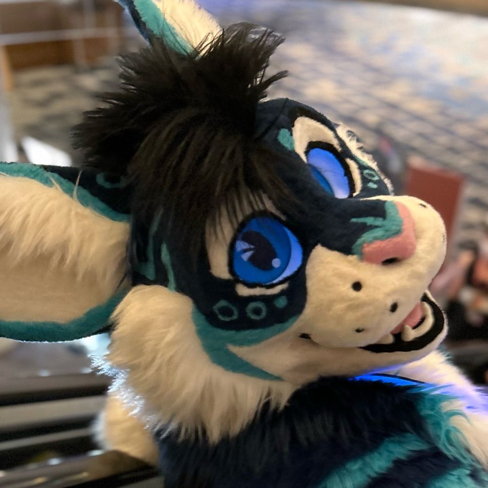CalyxCabbit